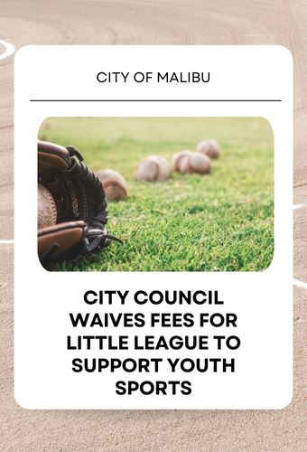 Little league - newsflash