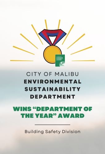 ESD award - Newsflash