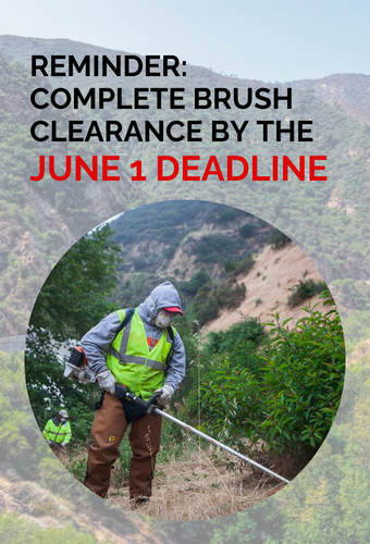 brush clearance deadline newsflash