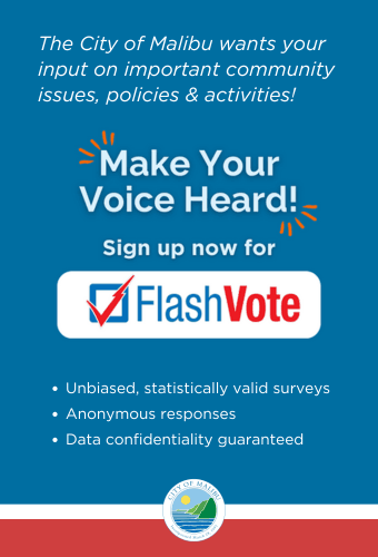 new flashvote message newsflash 
