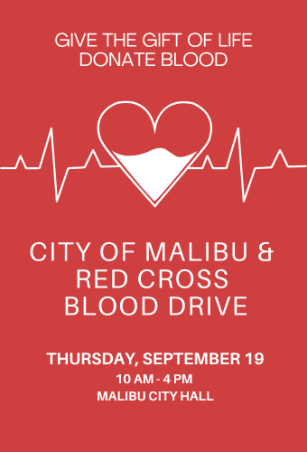 blood drive social newsflash 9.19.2024