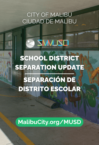 School separation - newsflash 2