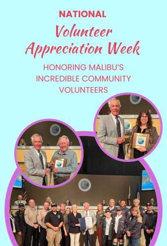 Volunteer Appreciation Week