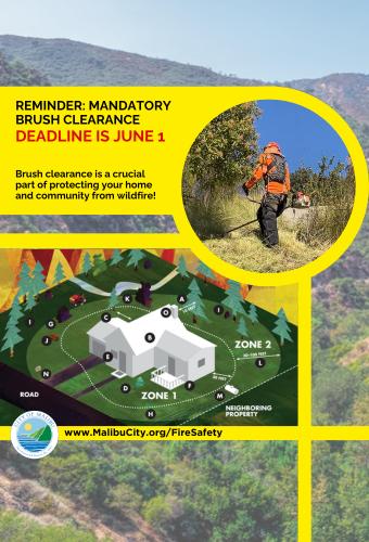 brush clearance deadline newsflash 