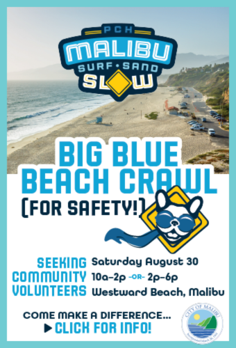 Big Blue Beach Crawl PCH safety Zuma newsflash