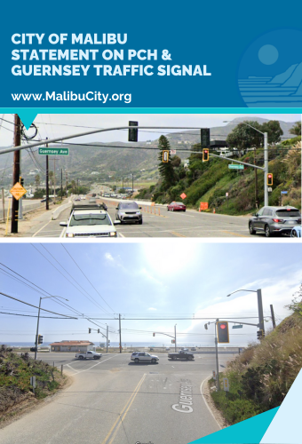 generic social post statement press release template (340 x 500 px)