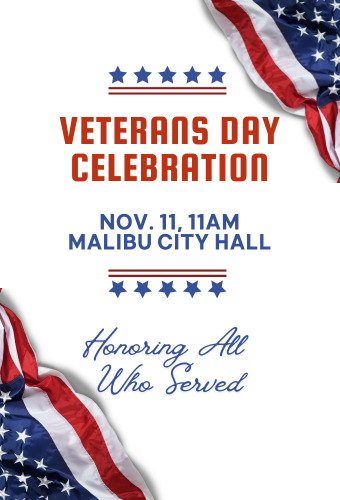 veterans day newsflash